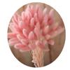Liquidação E-commerce Transfronteiriço Comércio Exterior Atacado Flores Secas Coloridas Tingidas Capim Rabo de Coelho Arranjo de Flores para Vaso de Pequeno Buquê DIY Combinação
