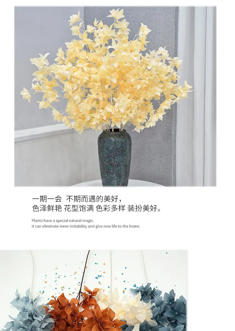 三角梅_07.jpg