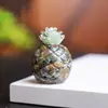 Adornos de Piña Dorada de Resina Rellena de Cristal Natural Mascota Fresca y Linda Decoraciones de Escritorio de Escritorio