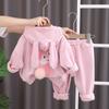 Conjunto de Dos Piezas Sudadera Casual de Polar Doble Cara Otoño e Invierno 2026 Atuendo Cálido Lindo Infantil con Orejas y Cola de Conejo 3D