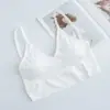 Popular Top Tubo Popular sin Costuras Envuelto en el Pecho para Niñas con Almohadillas, Chaleco Íntimo sin Aros, Tirantes, Sujetador de Espalda Amplia en U para Mujeres