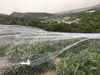 Invernadero Huerto Red Anti-pájaros Uva Cereza Hogar Árbol Frutal Anti-pájaros Cría Red de Seguridad Red de Nylon Exterior Protección Resistente