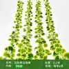 Enredadera Parthenocissus Uva Hoja de Vid Verde Pegada con Goma Decoración de Vid Falsa para Enrollar Tubería Enredadera Verde Plantas Verdes Plantas de Hojas Verdes