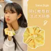 Diadema Anillo Intestino Grueso Coreana Venta al por Mayor Diadema Primavera y Verano Accesorios para el Cabello Cuerda para el Cabello con Bola 2025 Nueva Goma para el Cabello