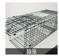 详情_01_02.jpg
