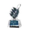 Pequeño trofeo de cristal para niños de preescolar estudiantes premio de graduación pequeño trofeo de recuerdo de doctor para niños
