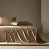 Sábana individual de algodón egipcio de fibra larga, 100 unidades, Clase A, funda de cama de satén de algodón puro de alta densidad 500TC de alta gama