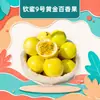 Guangxi Qinmi Nº 9 Maracujá Dourado Atacado Entrega 1/2/3/ 2,5kg Pura Doce Caixa de Presente Tropical Fruta Fresca