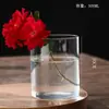 Jarrón para Plantas Hidropónicas Maceta de Vidrio Borosilicato Jarrón de Flores Artístico Botella Paisaje de Musgo Jarrón de Vidrio Recto