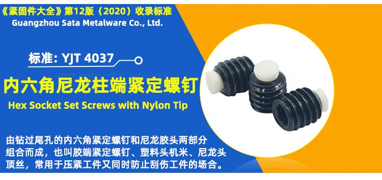 碳钢黑锌内六角尼龙柱端紧定螺钉.jpg