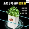 Cesta de Plantio Hidropônico para Aquário Suporte de Parede para Plantas Aquáticas Cesta de Plantio para Plantas Flutuantes Acessórios de Decoração para Paisagismo de Aquário