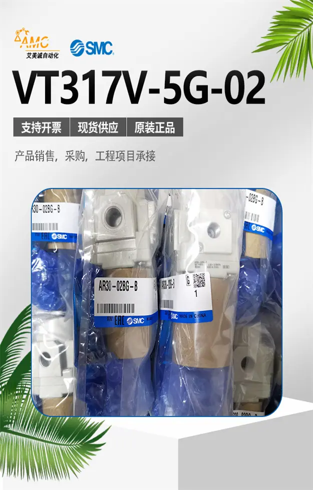 VT317V-5G-02.jpg