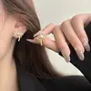 Brincos de Pérola Zircônia Fogos de Artifício de Alta Qualidade Agulha de Prata para Mulheres, Design de Moda de Nicho, Brincos Versáteis, Pequenos e Leves