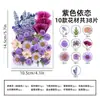 Marcapáginas de flores secas especímenes colección de primavera en botella de película plástica materiales hechos a mano para manualidades estudiantes de primaria flores transparentes