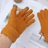 Guantes cálidos de invierno para estudiantes masculinos y femeninos, jacquard de fábrica directo, con pantalla táctil, forro polar grueso para amantes