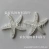 Acessórios de resina de estrela-do-mar com pó brilhante simulado não poroso de fundo plano de 38 mm Material para DIY de celular, cabeça de beleza, adorno 10 Peças/saco
