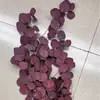 Hojas de Manzana, Hojas de Eucalipto, Flores Preservadas, Navidad, Amazon Transfronterizo, Estilo Nórdico, Hojas Redondas, Flores Secas de Yunnan, Materiales Florales