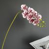 Sensación Simulada Algodón de Silicona Mini Orquídea Mariposa de Labio de 8 Cabezas Phalaenopsis Modelo para el Hogar Sala de Modelos Accesorios para Fotos de Boda Flores Falsas