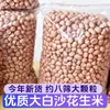 Novo Produto Amendoins Areia Branca Amendoins Rústicos Grão Grande Óleo de Feijão Amendoins Fritos Petisco Frio para Beber Amendoins Secos a Granel