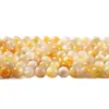 Cuentas Doradas de Concha Natural, Cuentas Sueltas de Concha Amarilla en Forma de Disco, Manualidades con Cuentas para Pulsera, Collar, Accesorios de Joyería al por Mayor