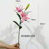 Sinta a Hidratação Flor de Lírio Pequena Artificial Decoração para Casa Decoração Decorativa de Mesa Paisagem de Janela Flor Falsa Floricultura de Casamento Fotografia
