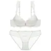 Lingerie sexy mais vendida internacionalmente, apresentando um design que levanta e sustenta os seios, com detalhes em renda, um design estilo francês e um efeito push-up para realçar o busto, criando um visual mais cheio para mulheres com seios menores