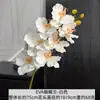 Jin Xi Flor Branca Simulada Diamante Rosa Rosa Hortênsia Decoração de Auditório de Casamento Material Floral Decoração de Sala de Estar em Casa Flor Artificial