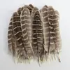 Venda Direta de Fábrica de Quase 100 Tipos de Acessórios Naturais de Penas Pequenas para Joias DIY, Acessórios de Cabeça, Broches, Chapéus, Materiais de Decoração para Artesanato