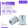 Tuerca Remachable de Acero al Carbono con Cabeza Plana, con Recubrimiento de Zinc Azul y Blanco, M3 M5 M10 M12 Rosca Interna Agujero Pasante Tuerca Remachable con Nervaduras Verticales