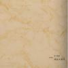 Panel de Pared de PVC 06 Modelo Grueso 460 Techo para Sala de Estar, Cocina, Baño, Múltiples Opciones