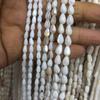 Shell concha de água doce em forma de gota frisado brincos buraco reto artesanato material DIY jóias acessórios atacado