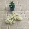 Plantas Verdes Simuladas, Ramas de Pino, Agujas de Pino, Hojas de Pino de Belleza Pino de Bienvenida, Plantas en Maceta de Pino de Tuya, Accesorios de Paisajismo Chino