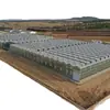 Estufa de Vidro para Cultivo de Pitaya, Estufa de Plantio de Alto Rendimento com Iluminação Suplementar, Projeto e Construção de Instalação Agrícola