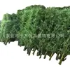 Decoração de bambu artificial planta de bambu falsa paisagem bambu biônico Zen planta verde externa tela divisória de corredor