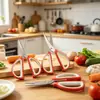 Tesoura doméstica de aço inoxidável, tesoura de cozinha forte, multifuncional, de borracha e plástico, cabo grande, tesoura de escritório de duas cores, tesoura artesanal
