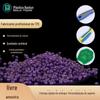 Fabricante de Matérias-Primas TPE Fornece Matérias-Primas de Borracha Macia TPE Matérias-Primas para Brinquedos Grânulos TPE de Jiangsu Partículas TPR