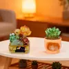 Decoraciones de Caja Misteriosa Lucky House Adornos de Piedra de Cristal DIY Piezas Originales Creativas Lindas Decoraciones para Escritorio de Oficina Planta en Maceta