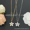 Nueva colección de collares marca D/marca Dior, disponible exclusivamente para comercio electrónico transfronterizo, productos nuevos con etiquetas originales, collar de nariz de cerdo CD al por mayor