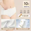 Ropa Interior Desechable para Mujer Shuyinmian Algodón Puro Sin Lavar Diaria Estilo Rayado Viaje de Negocios Estéril Talla Grande