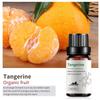 Exportación Transfronteriza Aceite Esencial Individual Fragancia Aromaterapia Masaje Aceite Esencial Sándalo Difusor Mayoreo Muestra de 10 ml