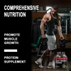 Comercio Exterior Venta Directa Transfronteriza Polvo de Proteína Sabor Matcha Proteína de Suero Fábrica de Potencia Stock 2.2 Libras