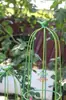 Soporte para Plantas Trepadoras con Forma de Jaula para Pájaros Redonda para Rosas y Clemátides, Soporte para Flores Jaula para Pájaros Estilo Vintage, Soporte para Macetas de Balcón, Maceta de Tamaño Mediano