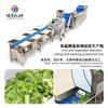 Las especificaciones de la línea de limpieza y corte de frutas y verduras se pueden establecer para mapear a los fabricantes para suministrar una máquina de limpieza por burbujas