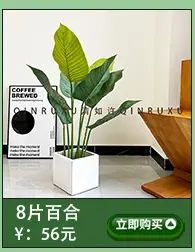 仿真龙血树