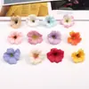 Flores artificiais pequenas, flores cosmos, materiais para cabeça de flor de grampo de cabelo DIY, arranjos florais de casamento, itens decorativos, acessórios para caixa de presente de roupas, cabeças de flor