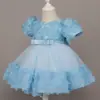 Vestido de Princesa para Niña, Vestido de Cumpleaños para Niña, Vestido Tutú de Flor de Rosa, Vestido de Presentación para el Primer Cumpleaños de Bebé, Venta al por Mayor