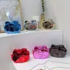 Bolsa Acrílica de Venta Caliente Transfronteriza, Bolsa Transparente Brillante para Cámara, Monedero Compacto Exquisito, Bolsa para Niños, Bolsa Cruzada