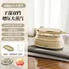 Plancha eléctrica de mano y vaporizador de ropa convenientes para uso doméstico, Mini plancha para ropa, Plancha de vapor, Plancha eléctrica