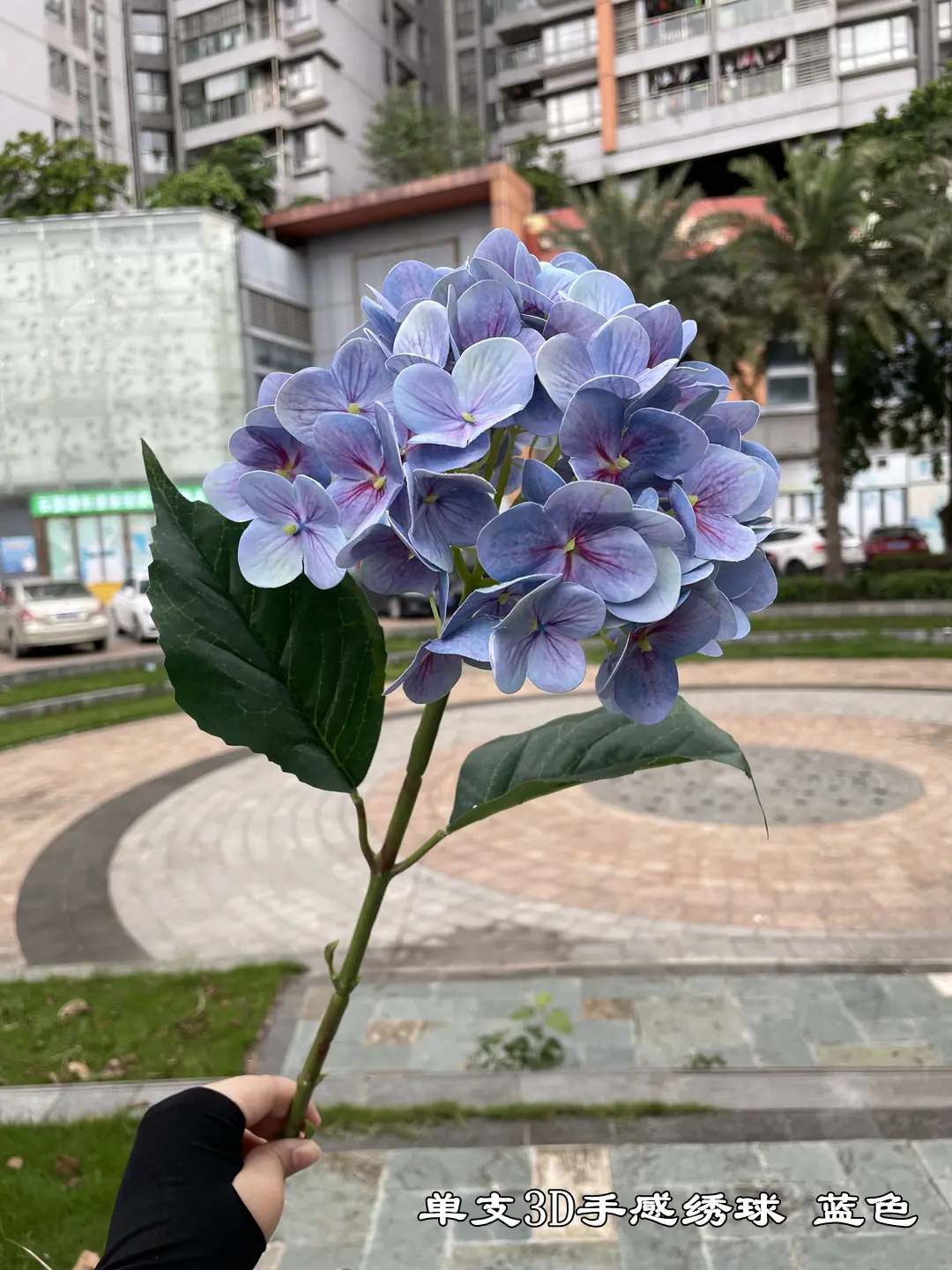 微信图片_20210815180857.jpg