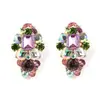 Nuevos pendientes para mujer de aleación de fruta con uvas incrustadas de diamantes de colores, estilo pequeño fresco transfronterizo, temperamento de moda pastoral, exagerados
